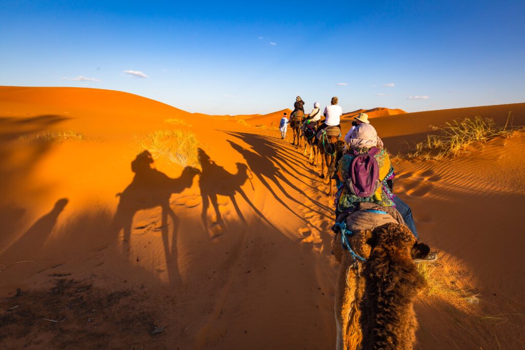 ride a camel in merzouga desert