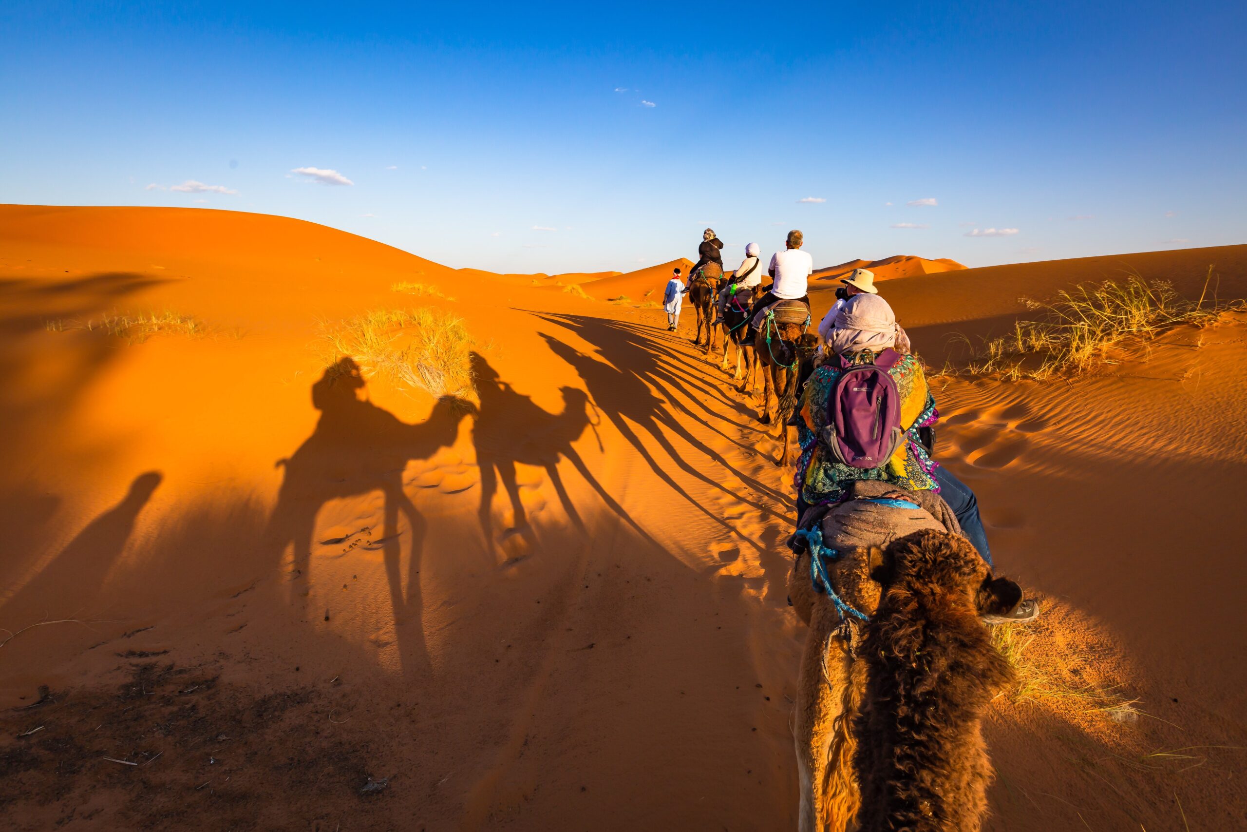 ride a camel in merzouga desert